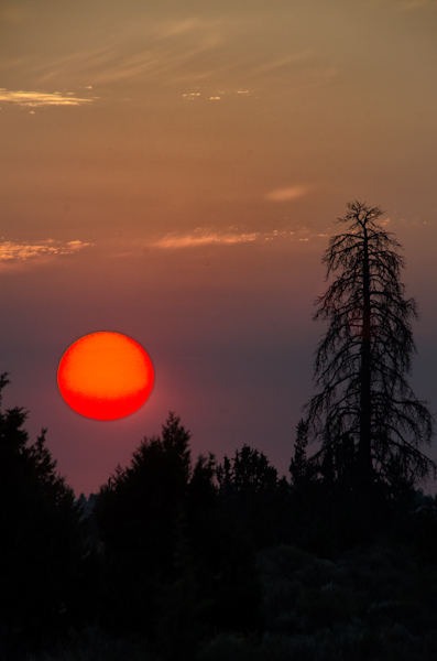 Maralee_Park_130815_52640-Edit