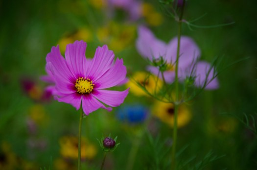 Maralee_Park_130817_52684-Edit