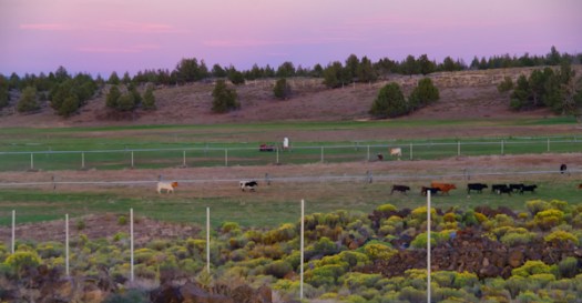 Maralee_Park_130820_52853-Edit