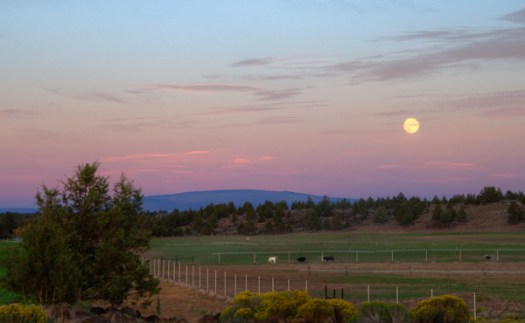 Maralee_Park_130820_52858-Edit