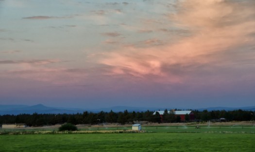 Maralee_Park_130820_52864-Edit