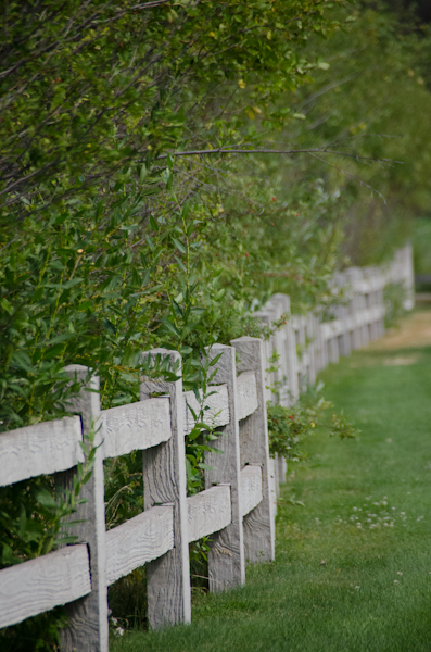 Maralee_Park_130824_53131