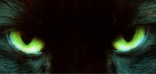 Cat Eyes 1