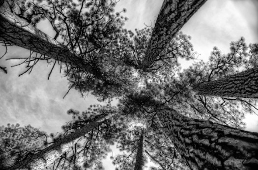 Maralee_Park_121020_37531_30_29-Edit