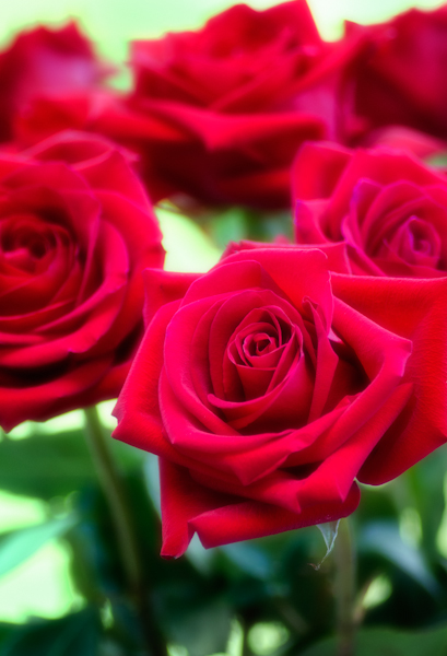 Maralee_Park_130902_53482-Edit