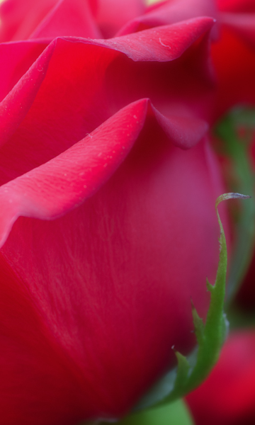 Maralee_Park_130902_53548-Edit