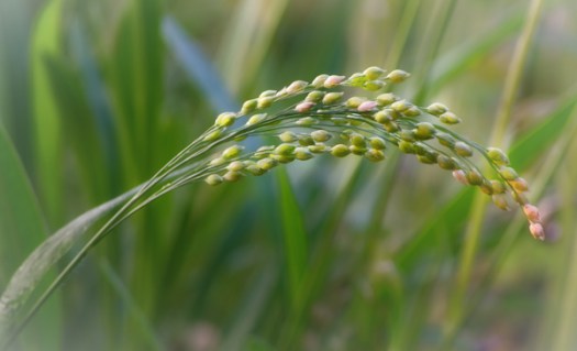 Maralee_Park_130906_53610-Edit