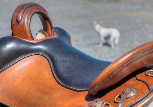 Maralee_Park_130907_53686_5_4