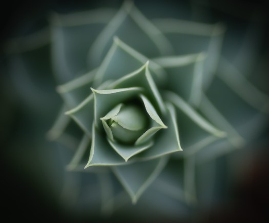 Maralee_Park_130913_53795-Edit