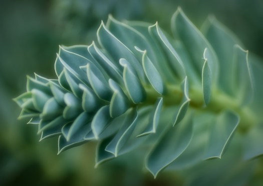 Maralee_Park_130913_53800-Edit