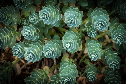 Maralee_Park_130913_53802