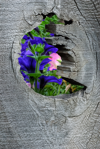 Maralee_Park_130913_53844_3_2-Edit