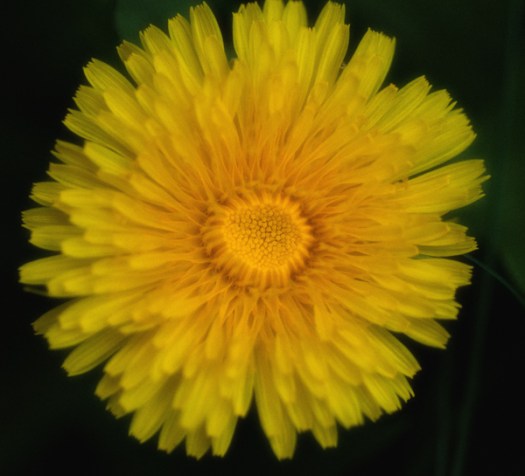 Maralee_Park_130913_53855-Edit