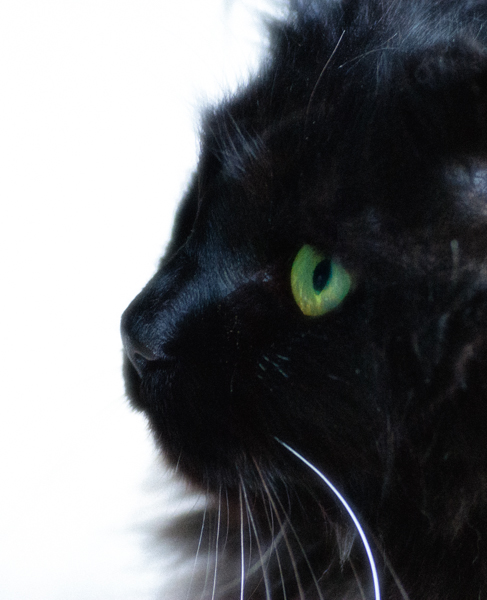 Maralee_Park_130914_53870-Edit