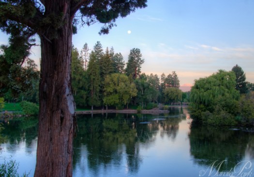 Maralee_Park_130919_53988_7_6-Edit