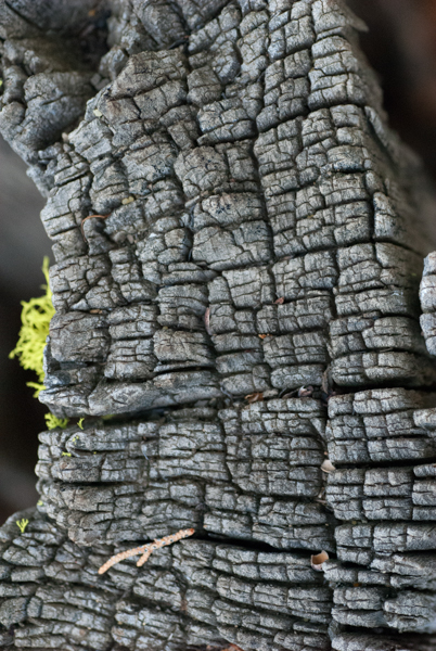 Maralee_Park_130921_54032-Edit