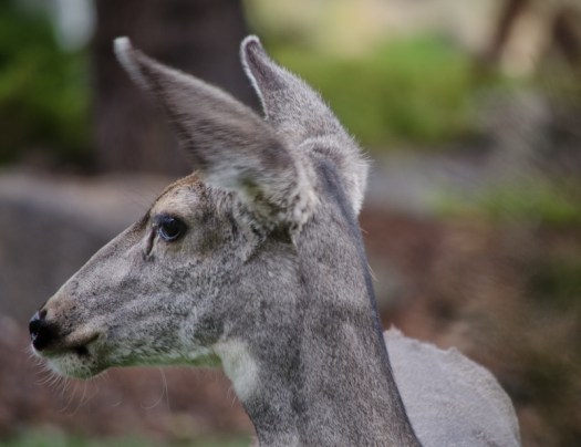 Maralee_Park_130922_54562-Edit