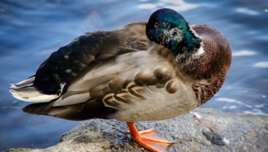 Maralee_Park_130923_54599-Edit