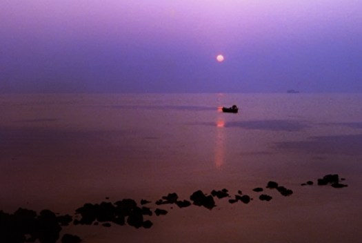 Maralee_Park_060523_05631-Edit