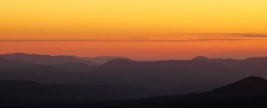 Maralee_Park_080725_00808-Edit