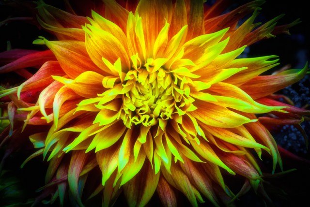 Maralee_Park_131006_54779-Edit-Edit