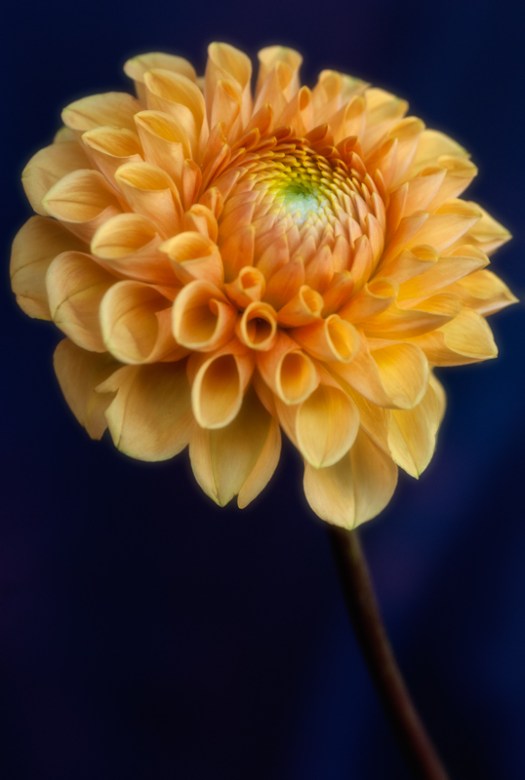 Maralee_Park_131006_54810-Edit