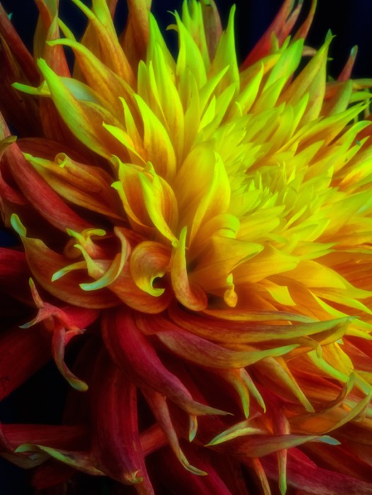 Maralee_Park_131006_54843-Edit