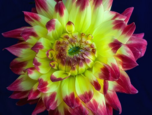 Maralee_Park_131006_54881-Edit