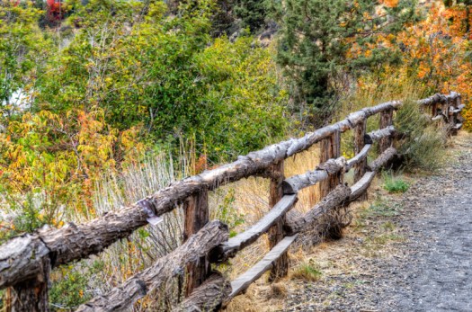 Maralee_Park_131009_54940_39_38