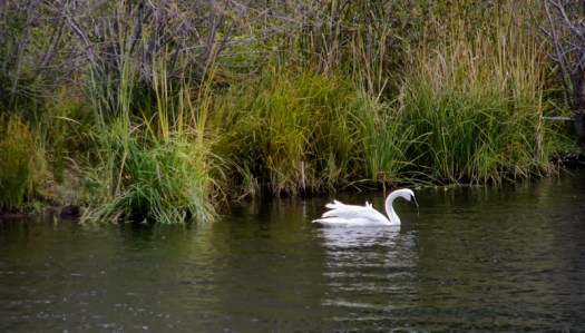 Maralee_Park_131009_54948-Edit