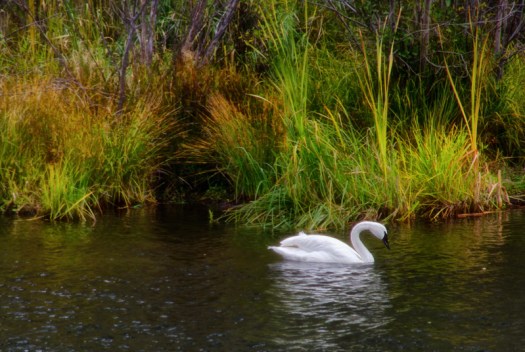 Maralee_Park_131009_54951-Edit-Edit