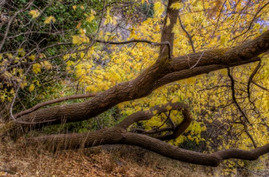 Maralee_Park_131009_54961_60_59