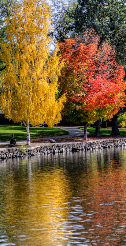 Maralee_Park_131010_54973_2_1-Edit