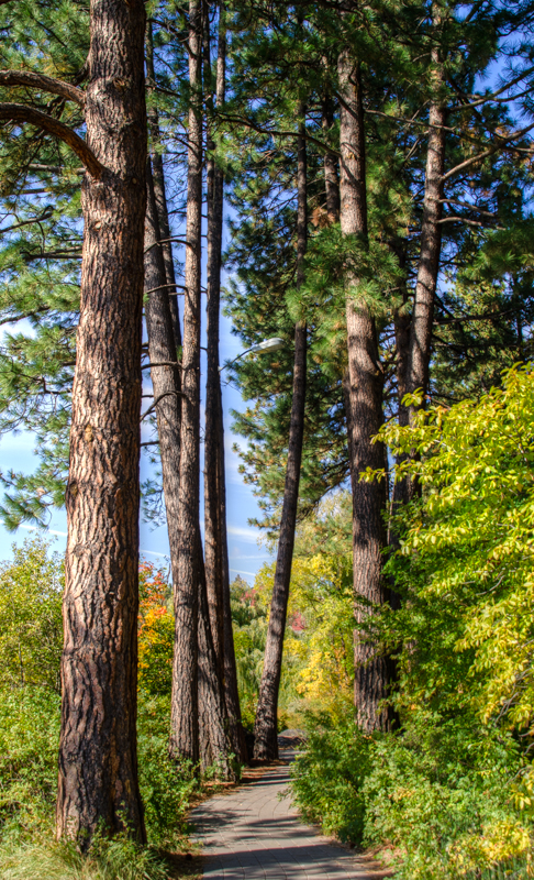 Maralee_Park_131010_55009_8_7