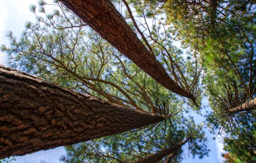 Maralee_Park_131010_55015_4_3