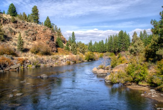 Maralee_Park_131010_55030_29_28