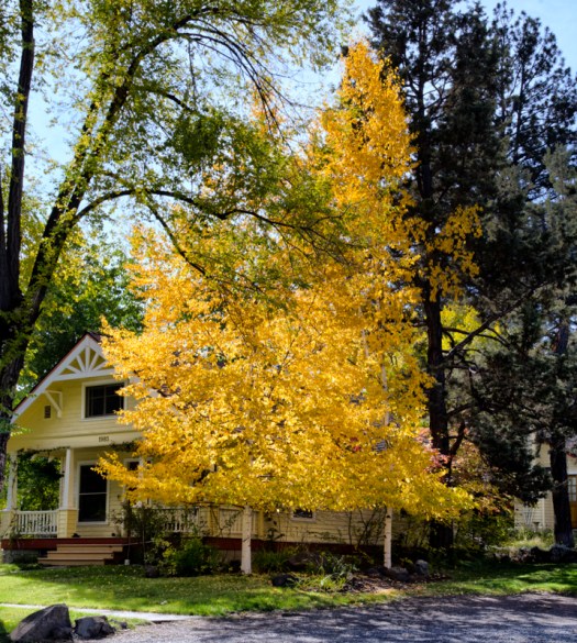 Maralee_Park_131010_55034-Edit