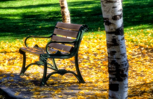 Maralee_Park_131014_55198_7_6