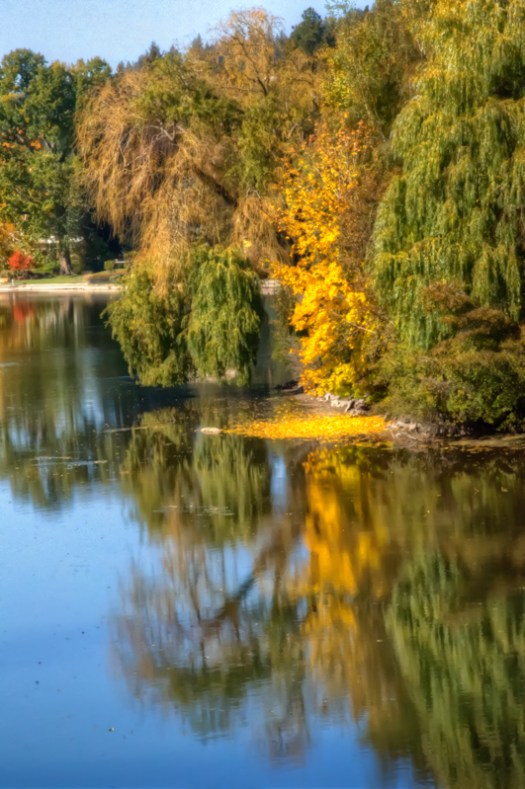 Maralee_Park_131014_55216_5_4