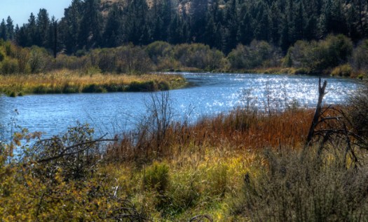 Maralee_Park_131016_55252_1_0