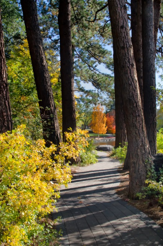 Maralee_Park_131016_55277-Edit