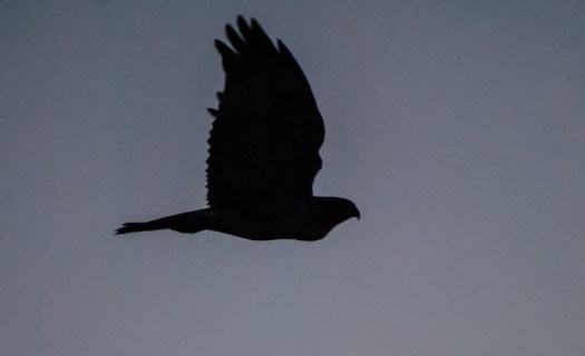 Maralee_Park_131018_55421-Edit-2