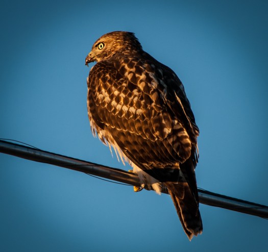 Maralee_Park_131019_55531-Edit