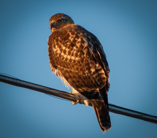 Maralee_Park_131019_55584-Edit