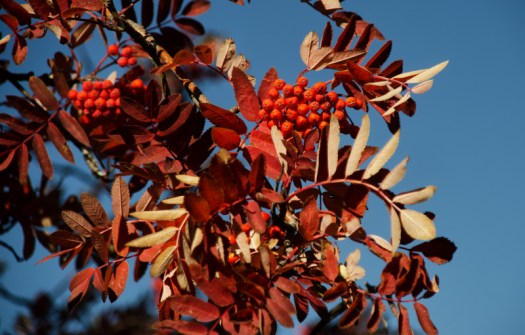 Maralee_Park_131023_55656-Edit