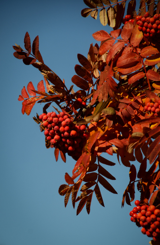 Maralee_Park_131023_55663-Edit