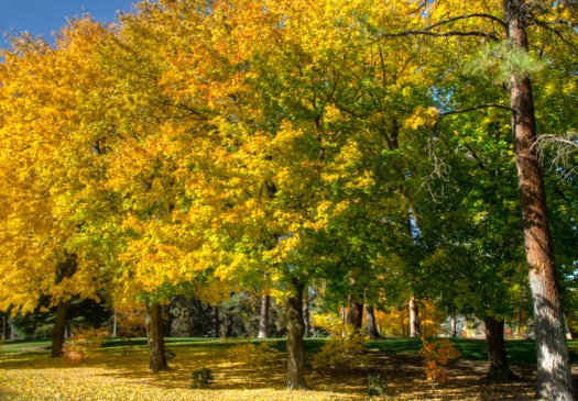 Maralee_Park_131023_55684_3_2