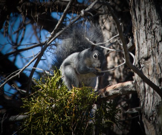 Maralee_Park_131024_55758-Edit