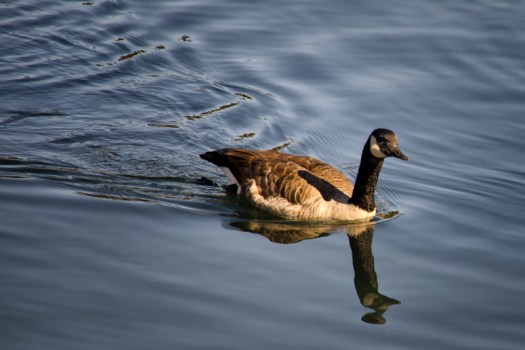 Maralee_Park_131024_55780-Edit