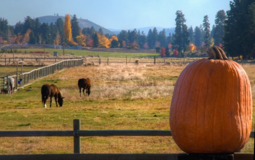 Maralee_Park_131025_55809-Edit